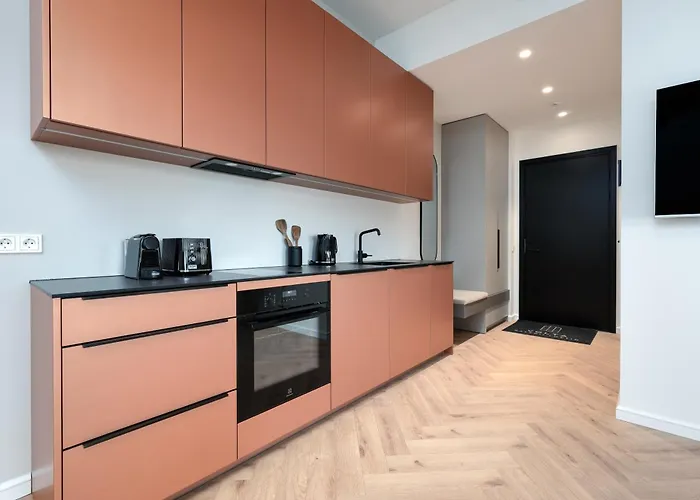 Volta Gallery Loft With Ac, 24m2 Terrace And High Speed Wifi Appartement